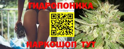 каннабис Гудермес