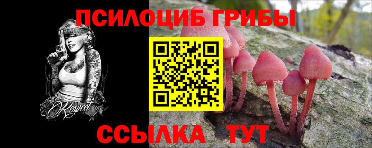 Звенигород  Псилоцибиновые грибы ЛСД  Псилоцибиновые грибы MAGIC MUSHROOMS  Вход с VPN 